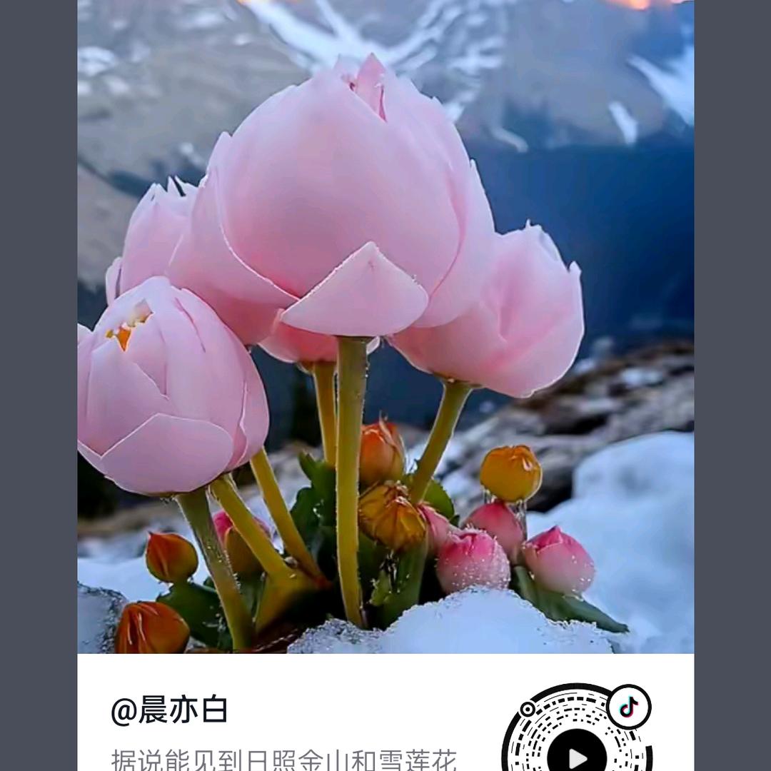 @一生有你,是快乐,拒绝私聊