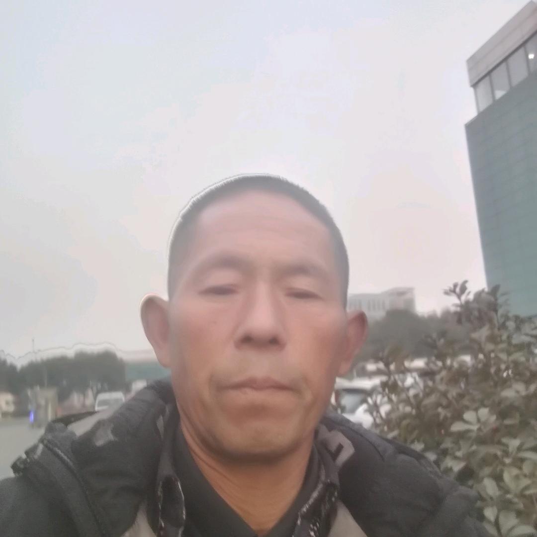 豪哥