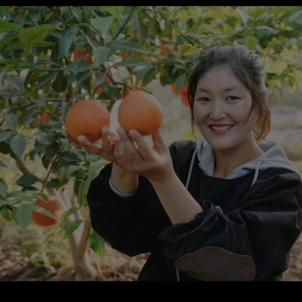 千里江陵红美人