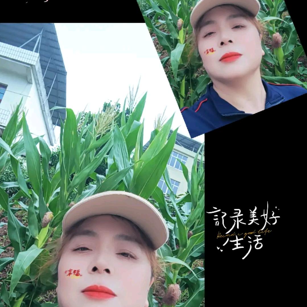 何姐