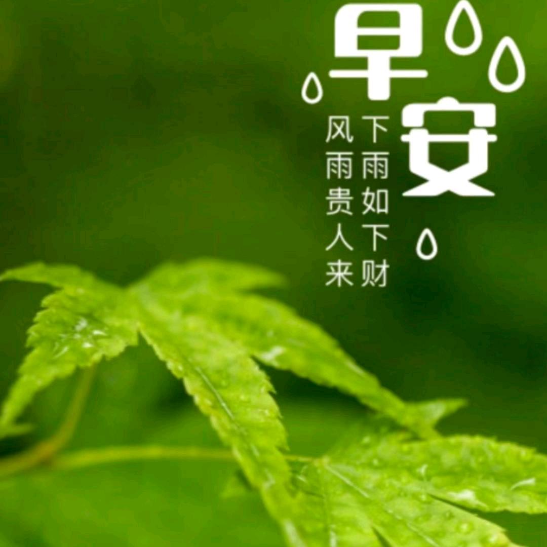 人生不易