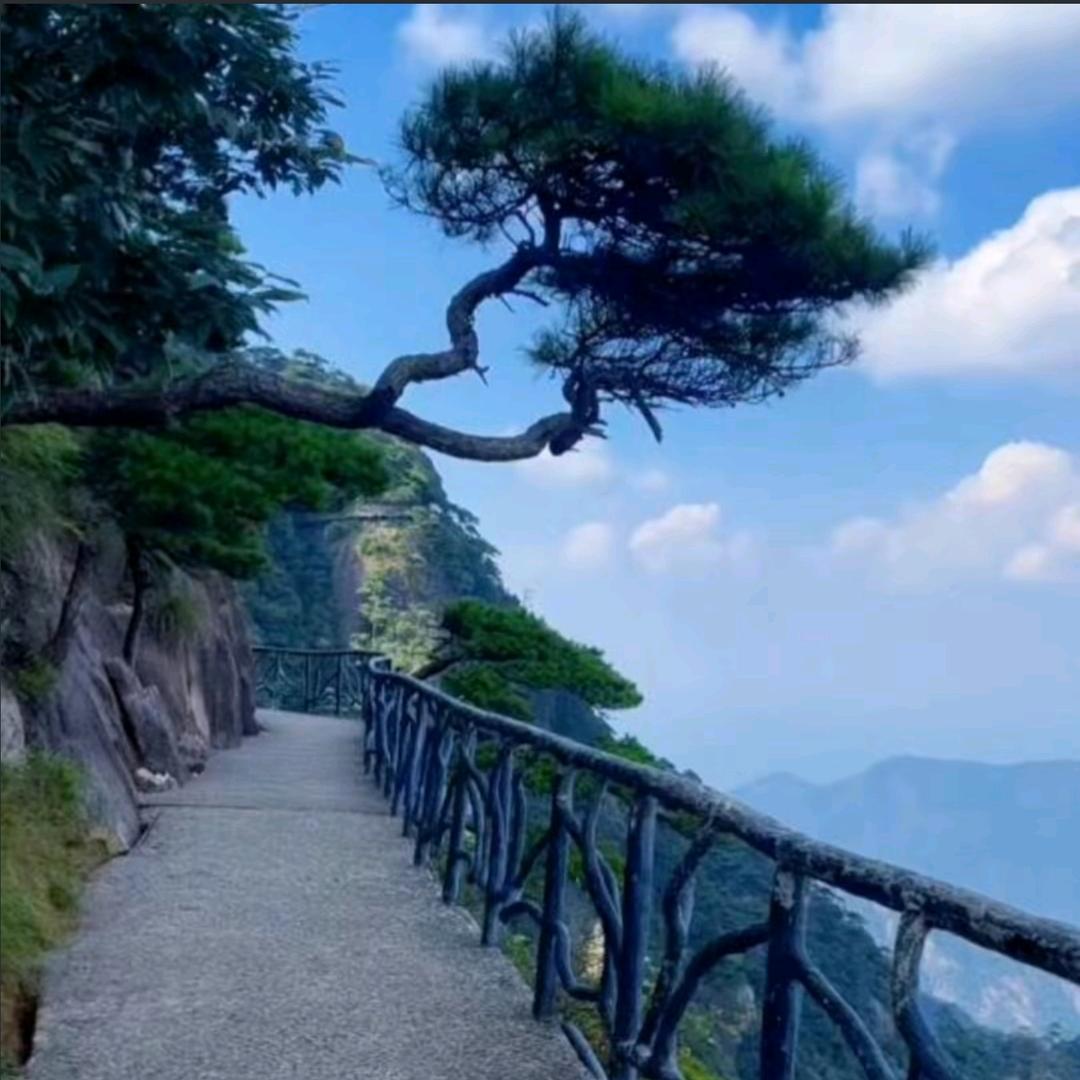 太阳不等月亮🌙