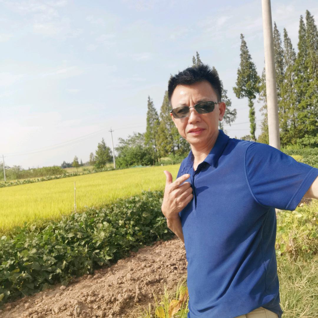 酒馆歌🎤🎤