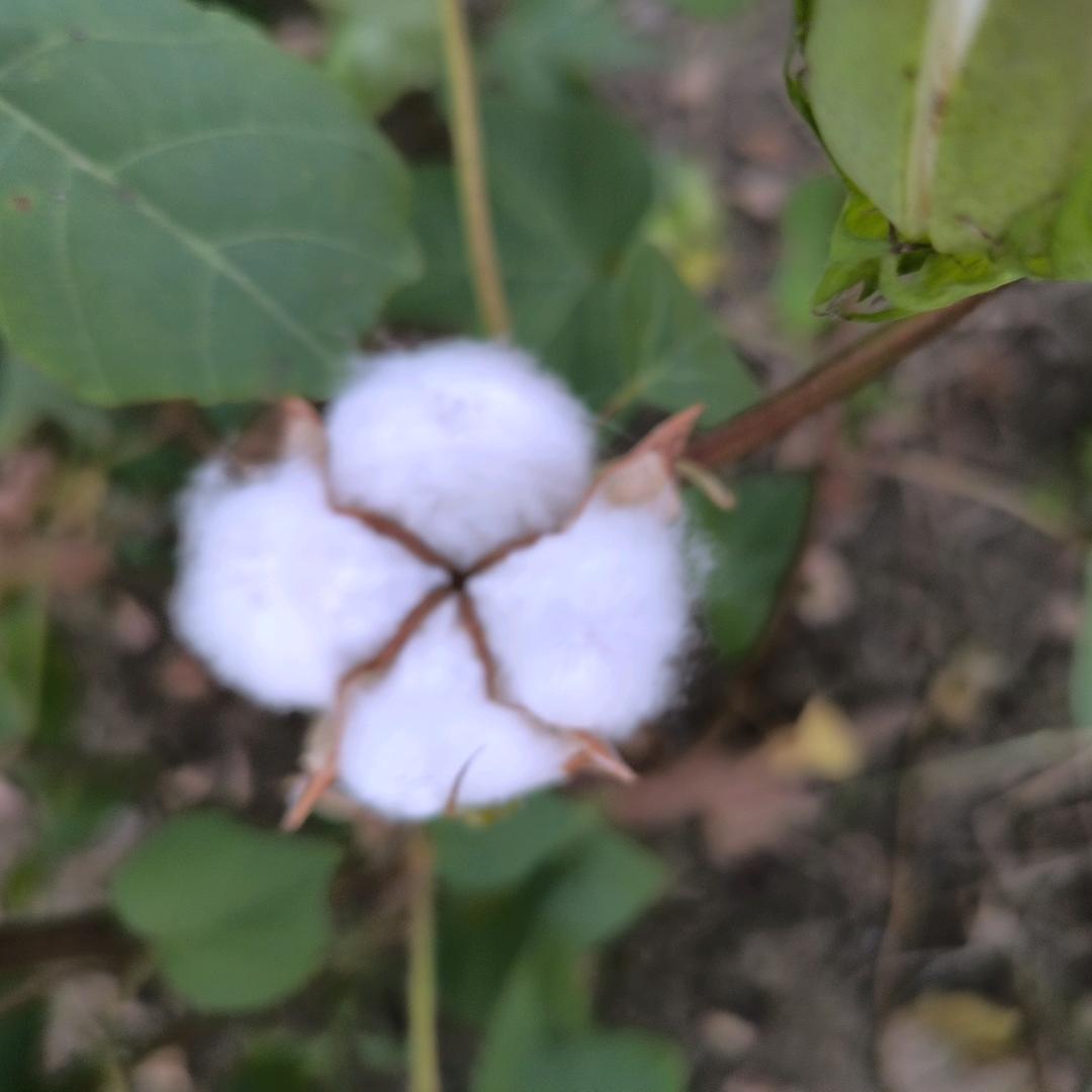 你再普通也是独一无二的，拽姐