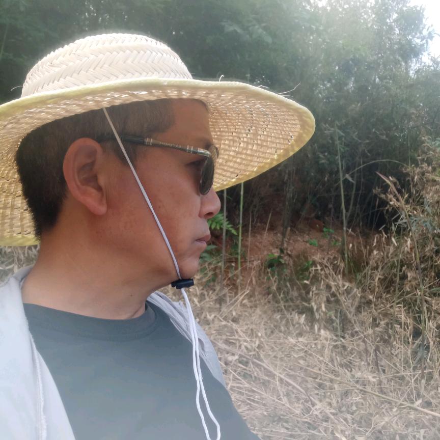 老鹰钓鱼