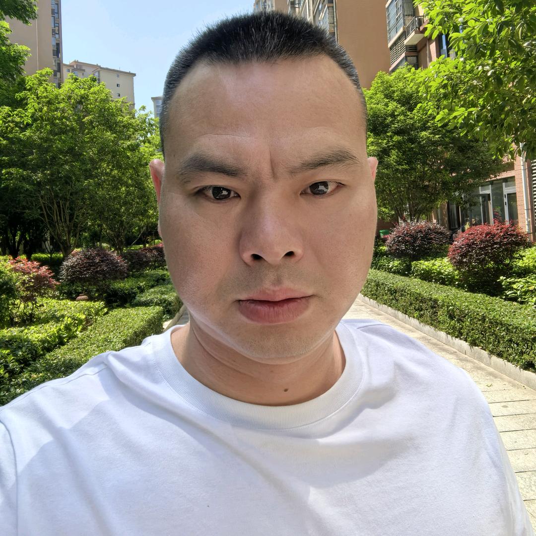 陈书林