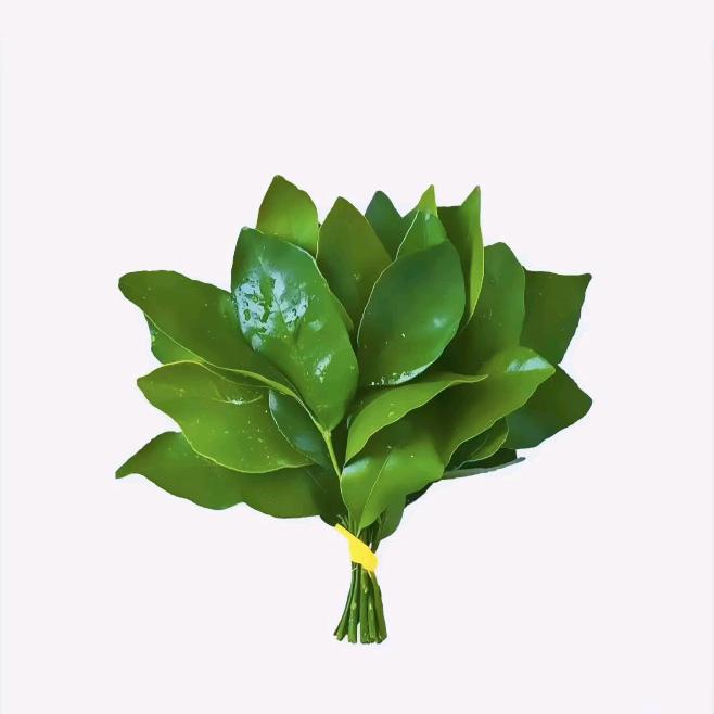 柚柚.