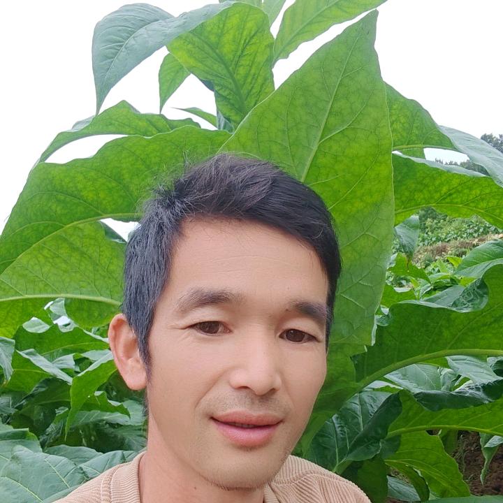 雨后天晴发哥