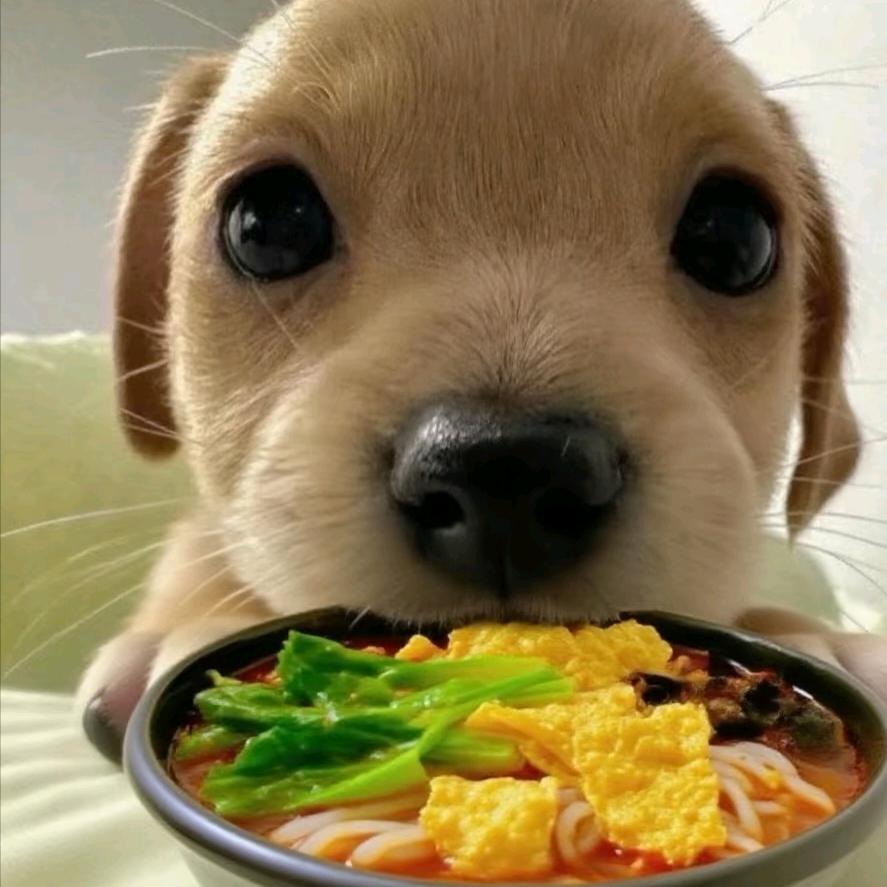 螺蛳粉加辣加臭🍲