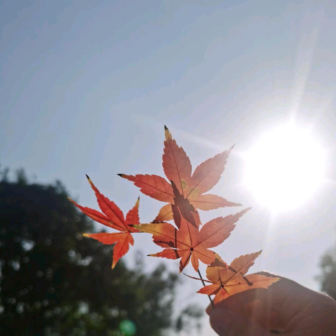 。。。。。。。。。。。。。。!