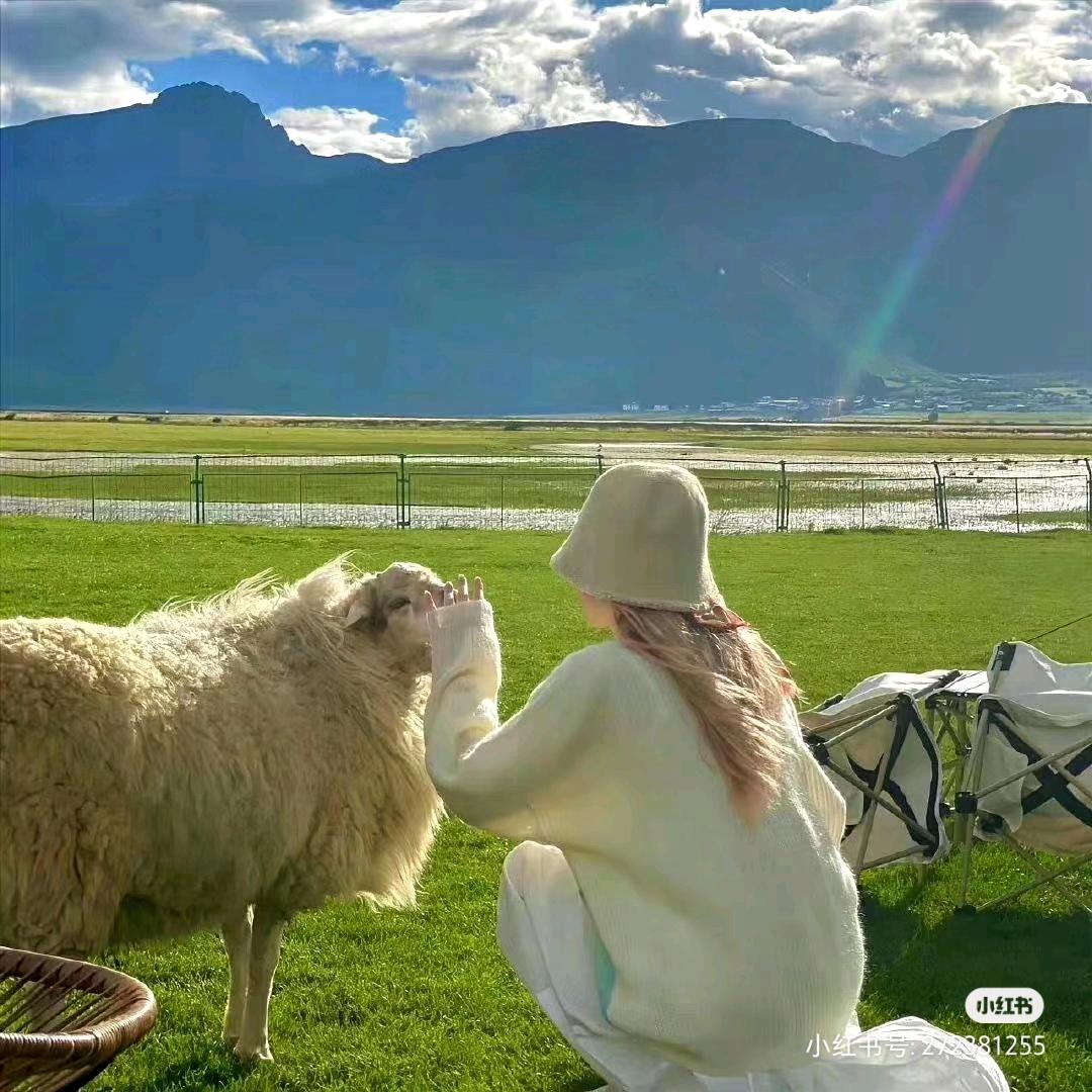 小朱不爱吃花生