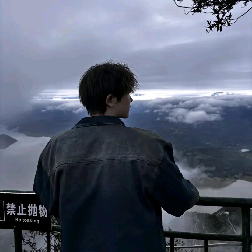 梦