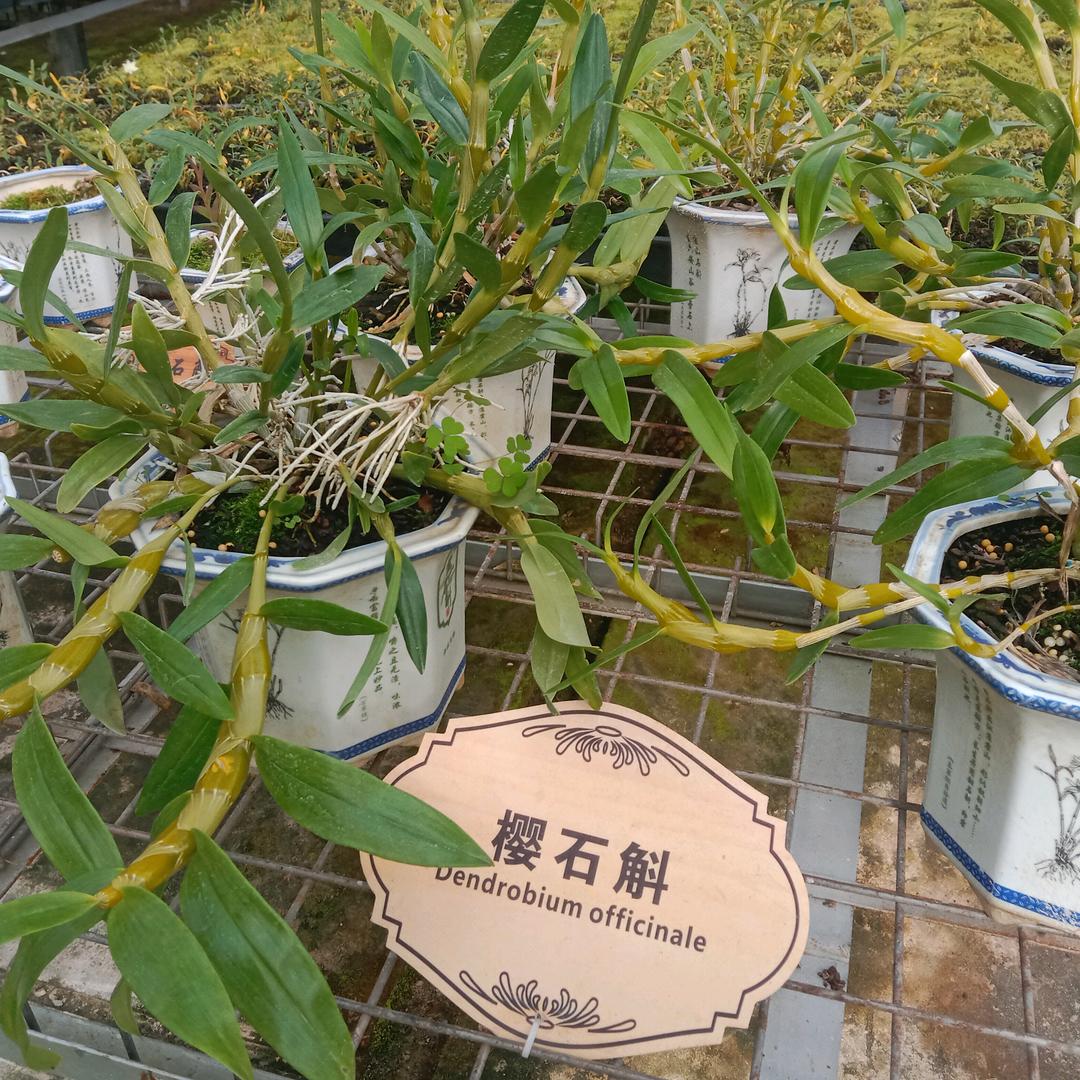 寻找幸福和开心