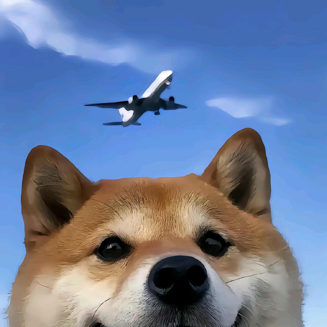 Mr.Bao
