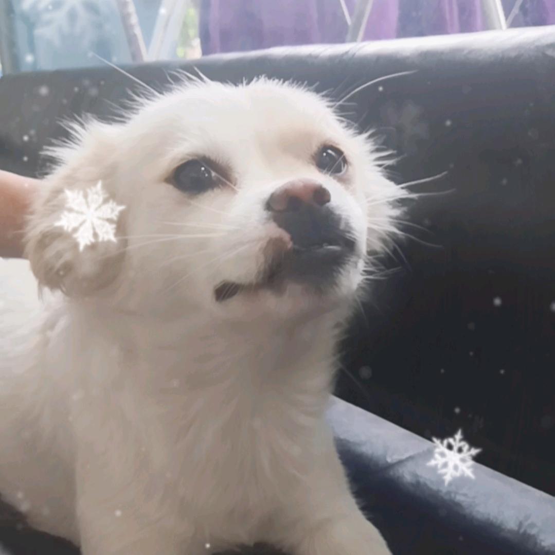 感恩有你@首播筹备中