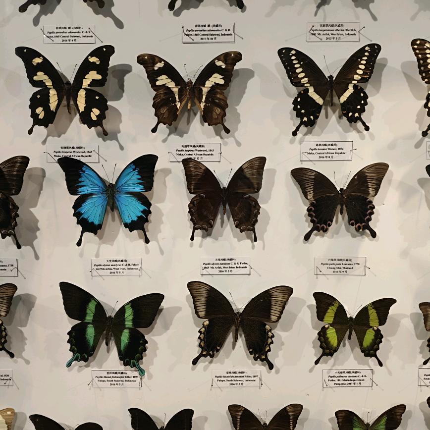 长村宽乘该溜子