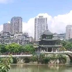 你是我的眼