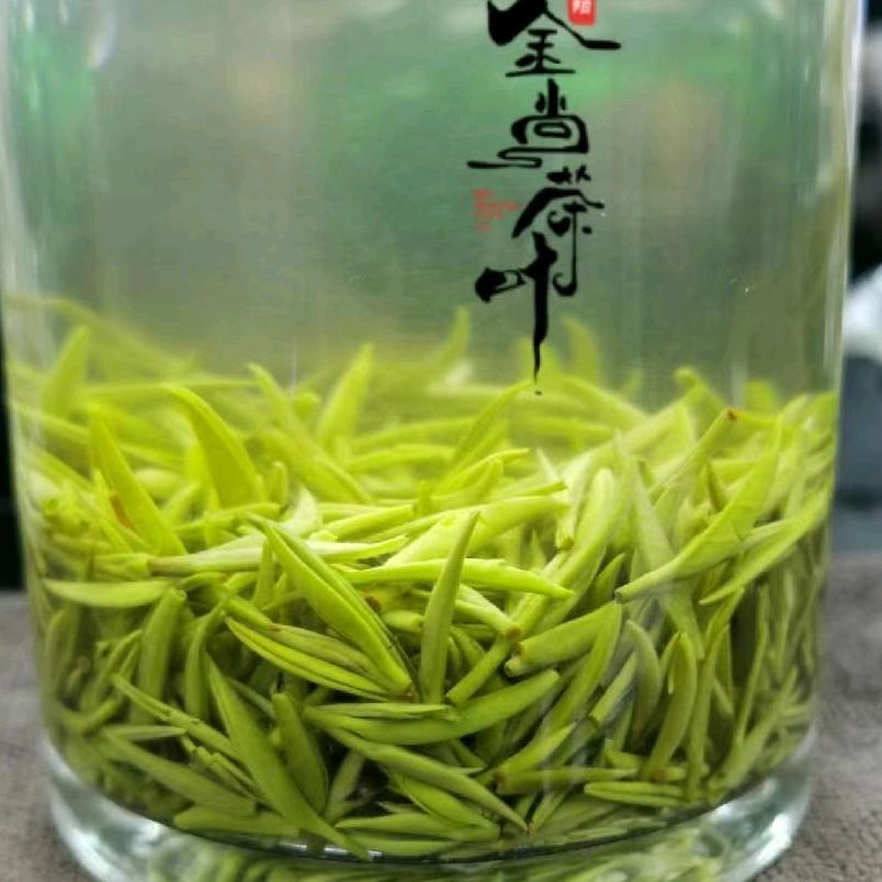 信阳棋韵茶场