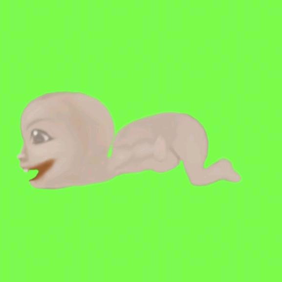 爷猫