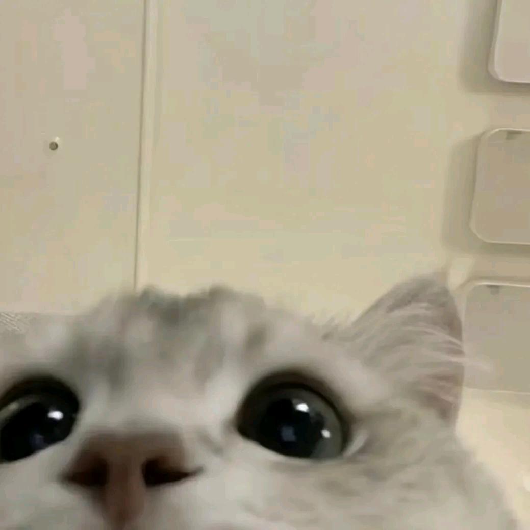 小梅