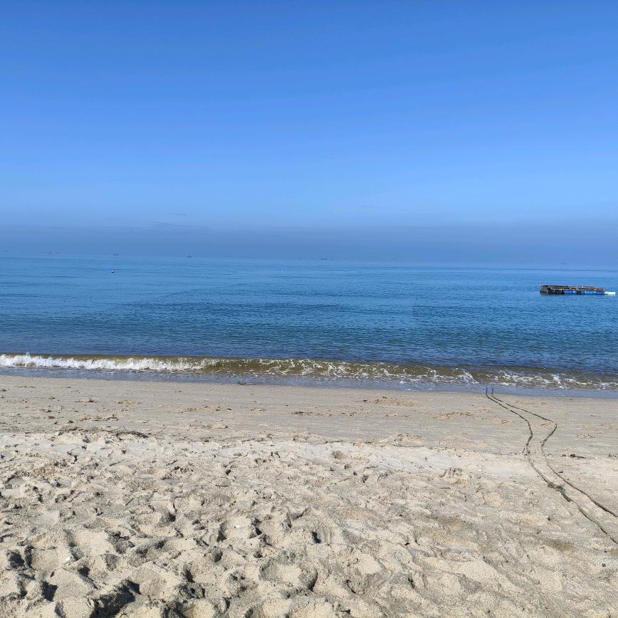 土菜婶山城土货