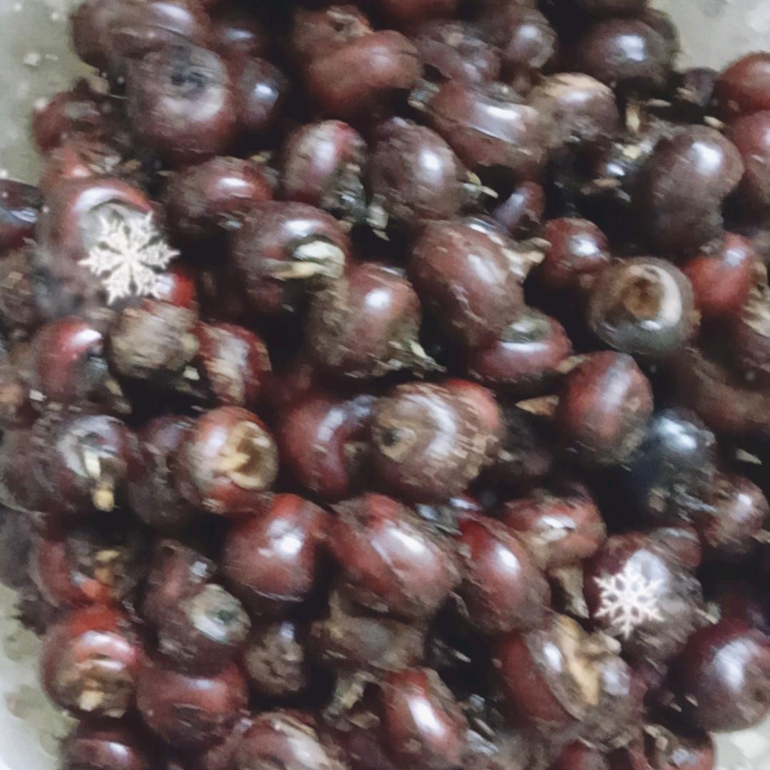 一支寒梅
