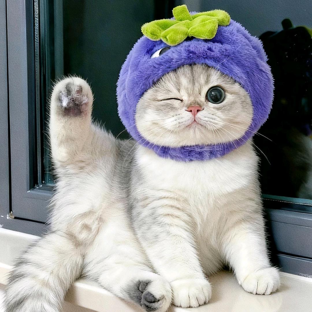 绝世好女人的男人