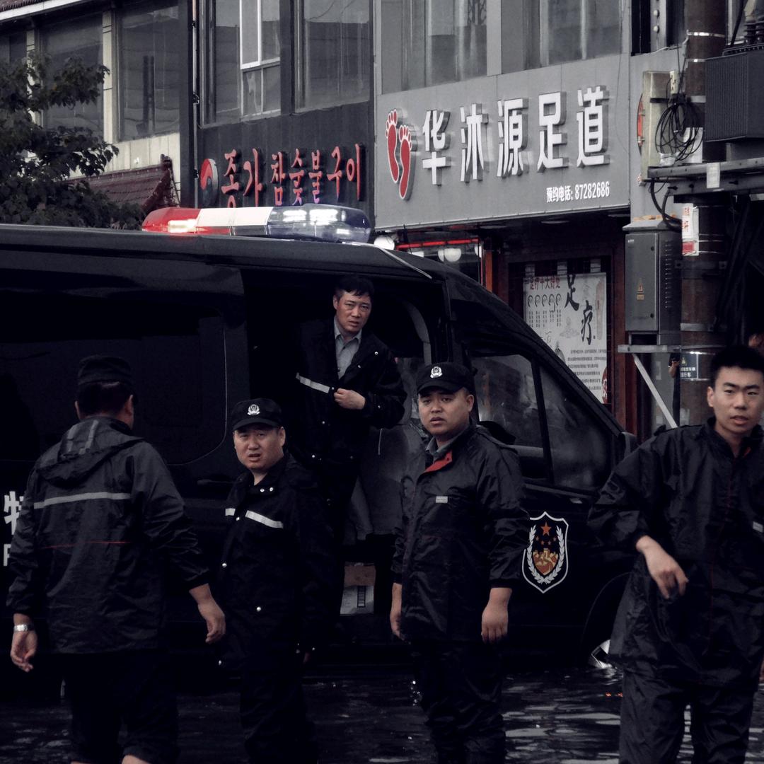 毛毛虫