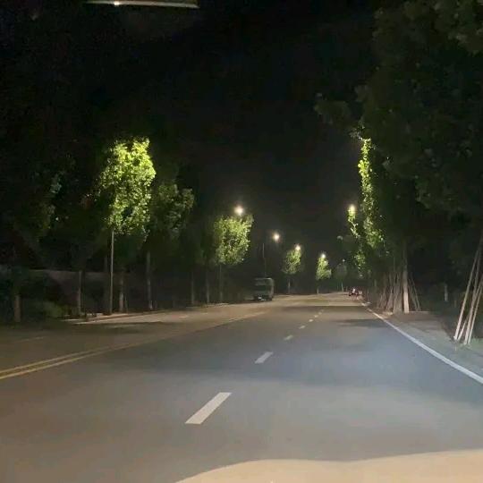＠凌晨三点🕓：🌵