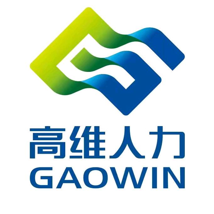 新疆高维人力