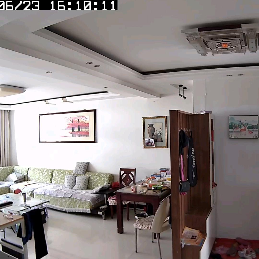 昆仑山上一颗松