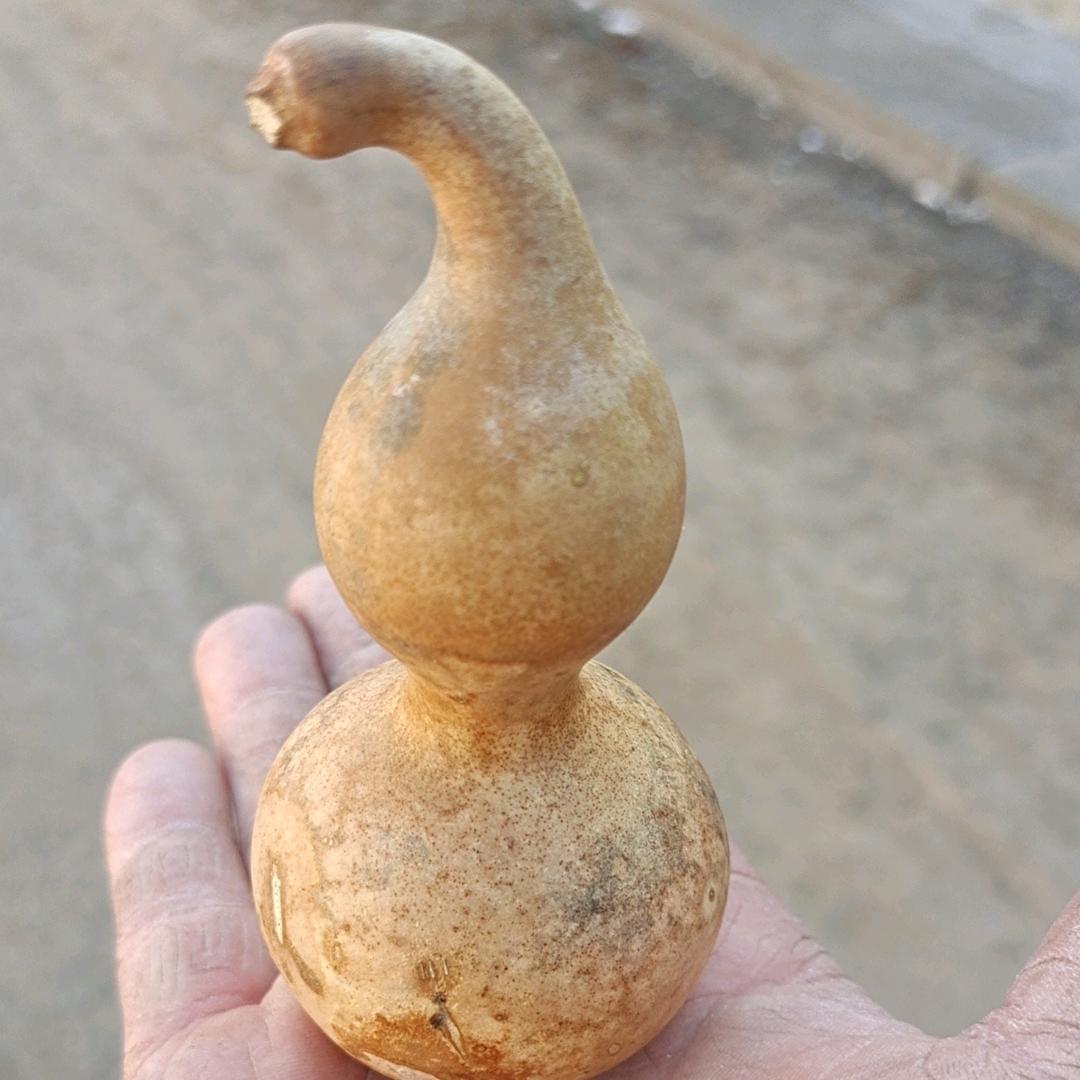 伊金涛
