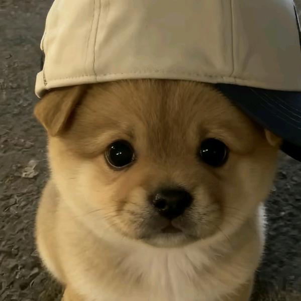 苦中作乐😭😭