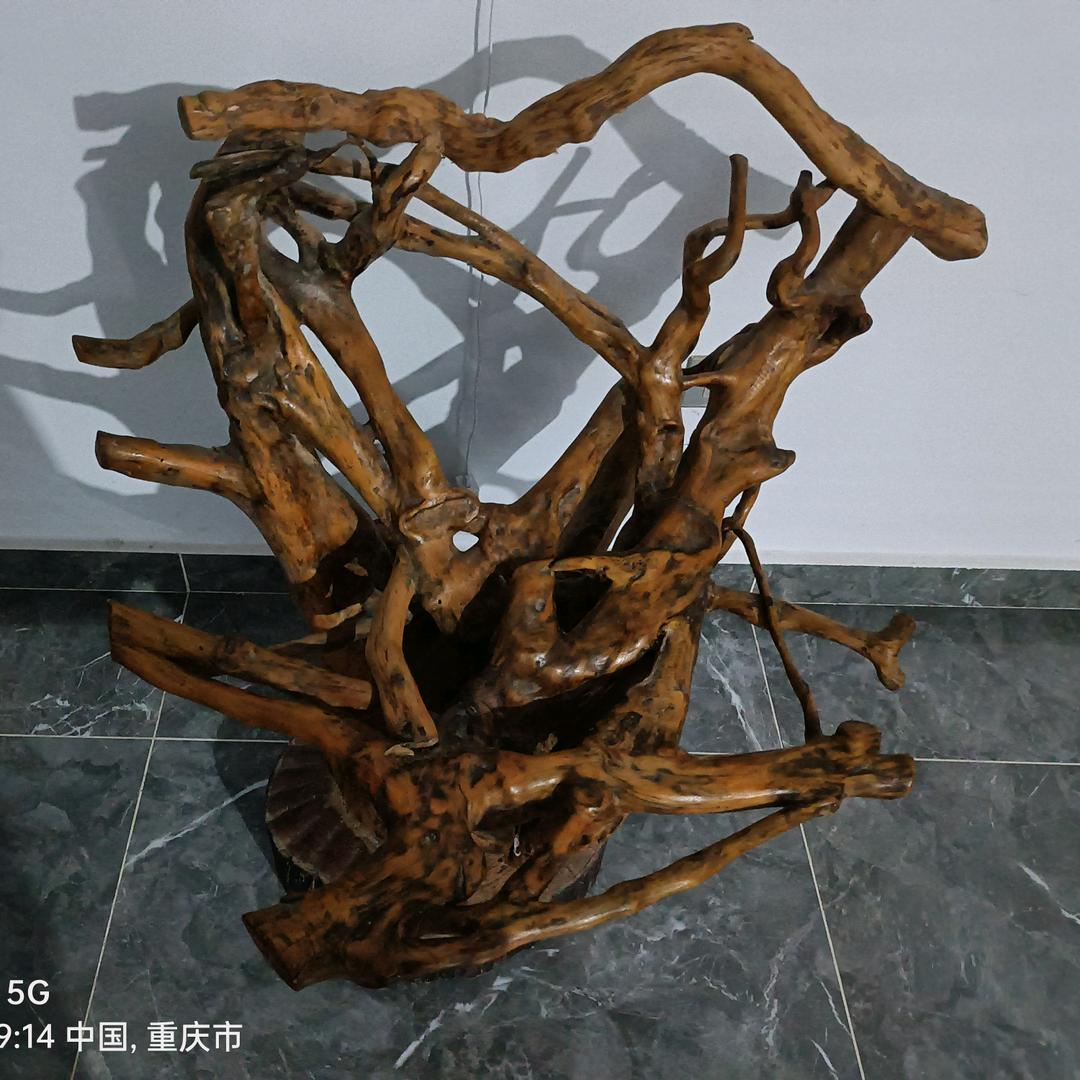 伍得转