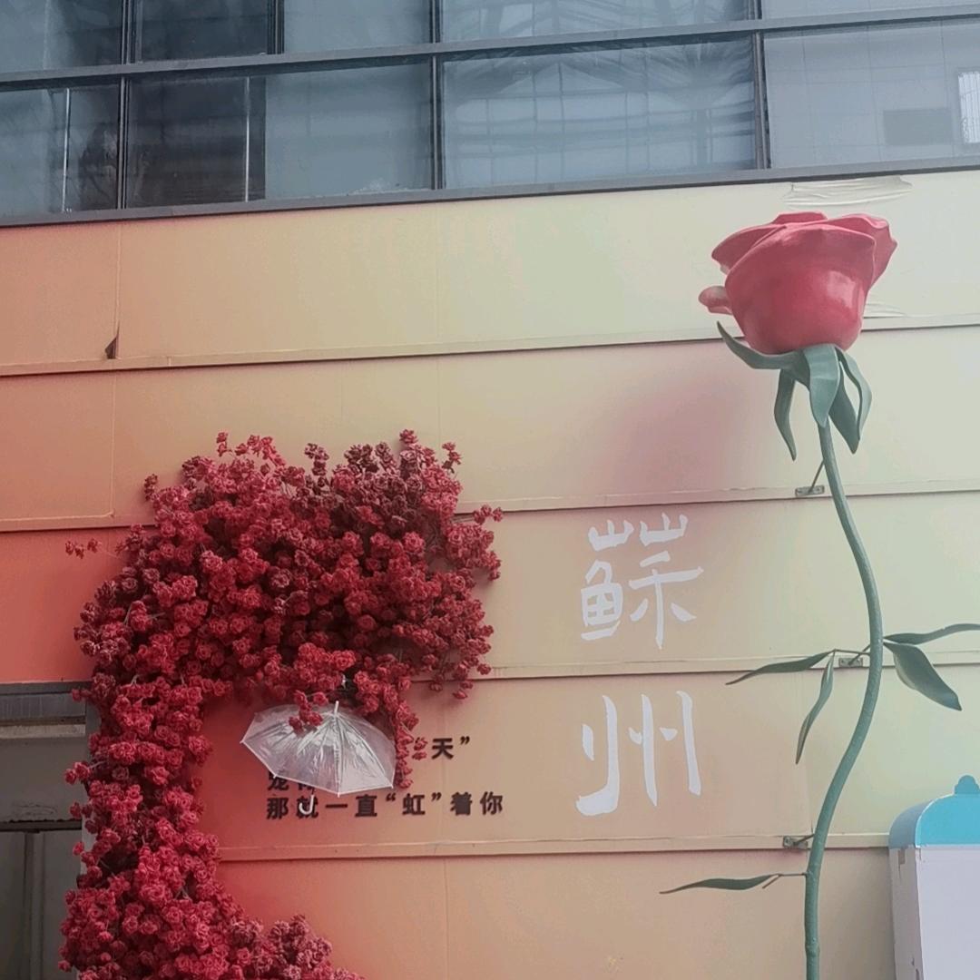 听风八百遍，才知是人间