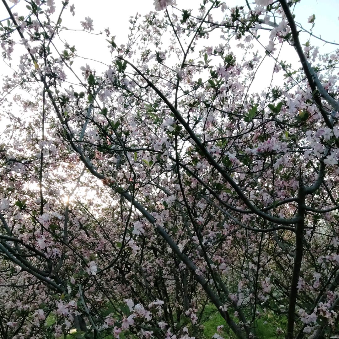 浅笑别离