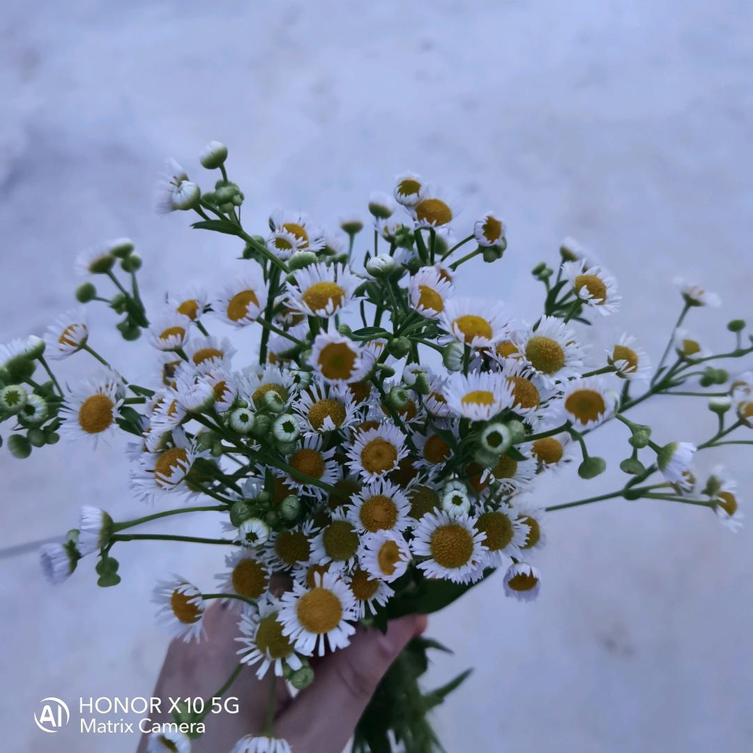 梅你不行（为家力量+有氧）