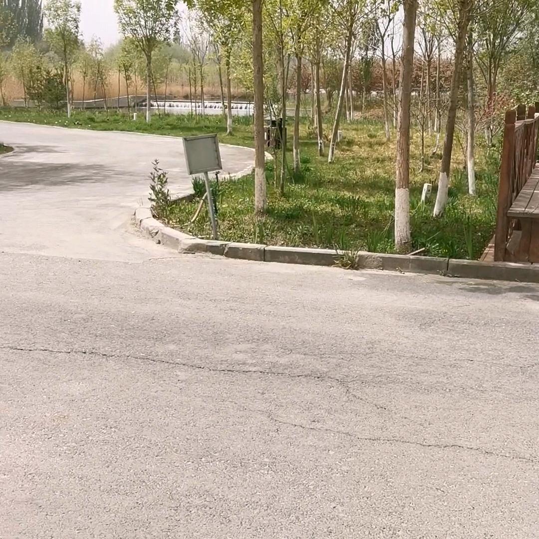 大漠日园