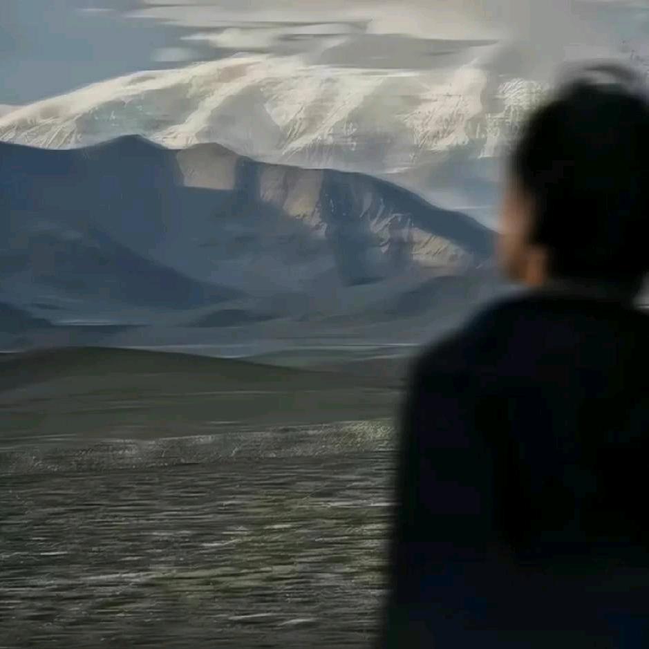 只看高质量