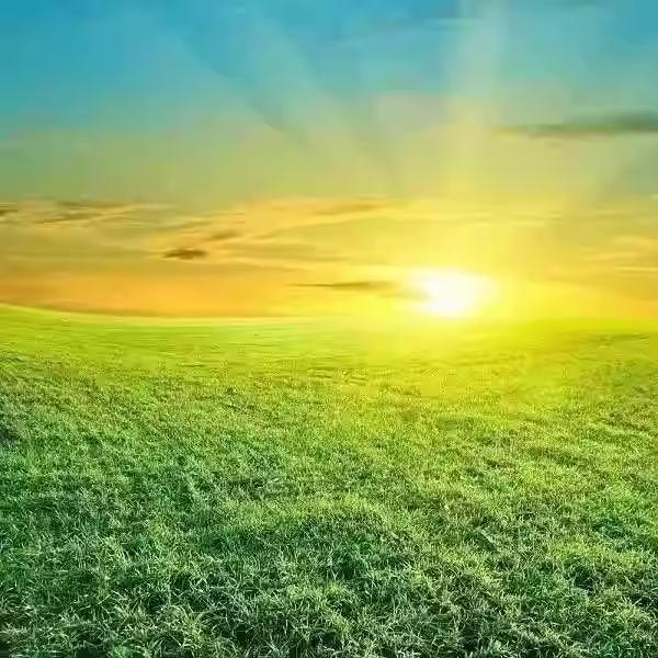 橙子🍊🍊🍊🍊