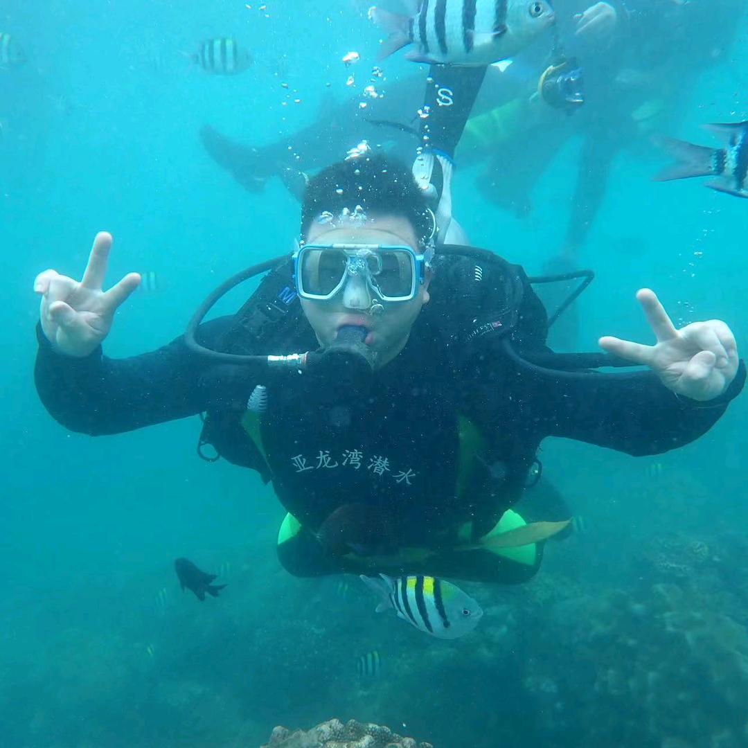 我想回到浪浪山