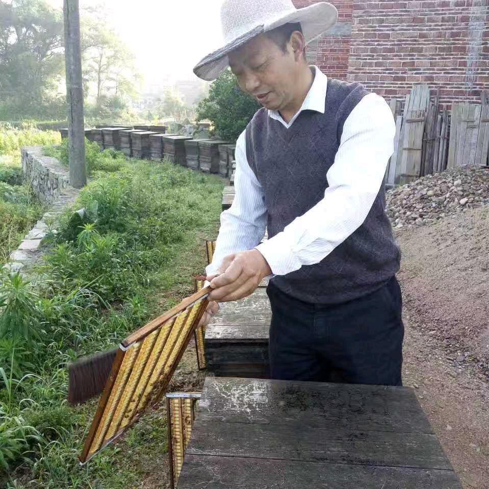 蜂华春秋