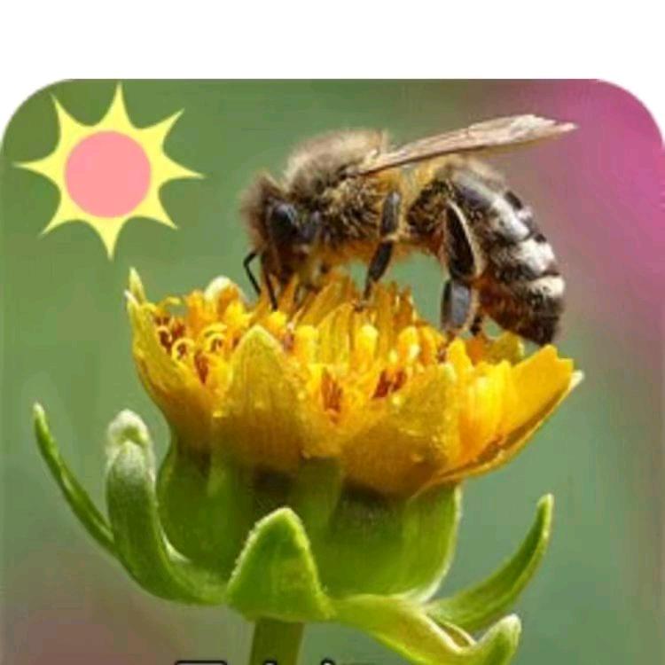 伏玉宝，空中司令