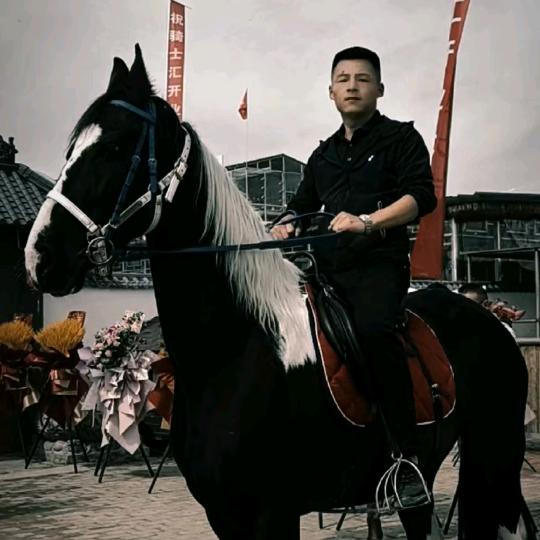 （骑士汇）毛豆