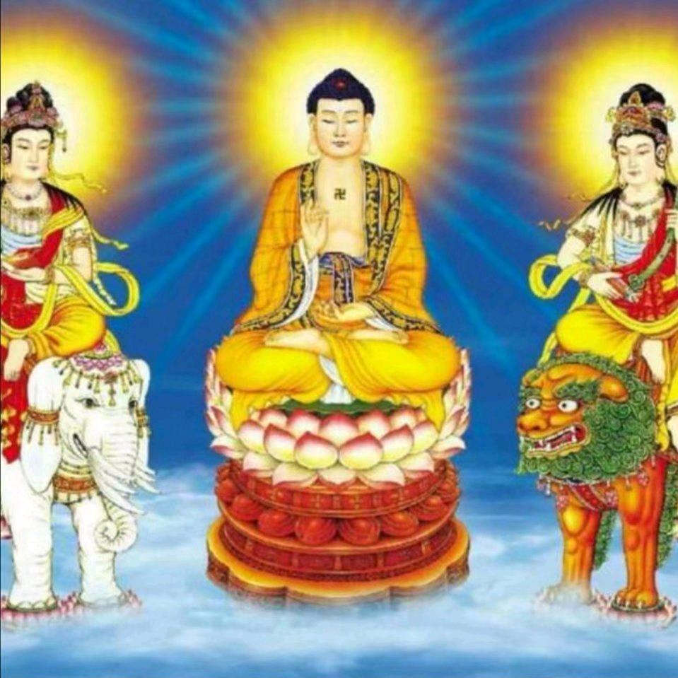 布布