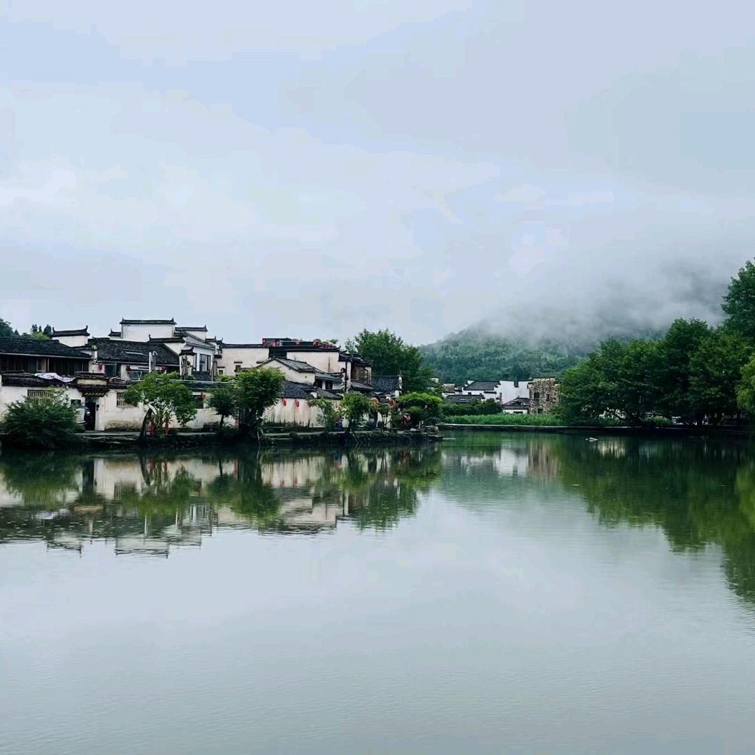 会飞的豆子🫘