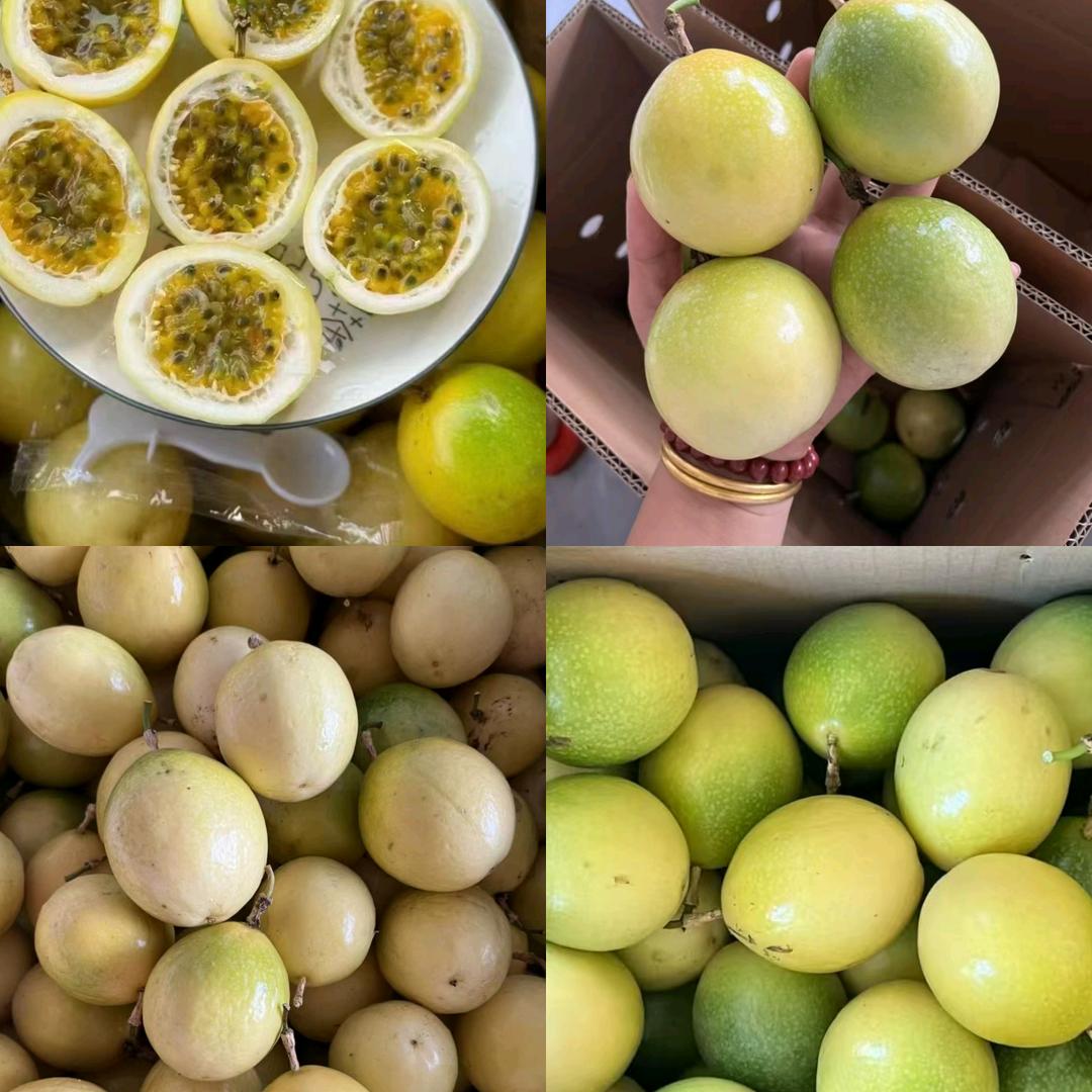 广西的内蒙古小哥