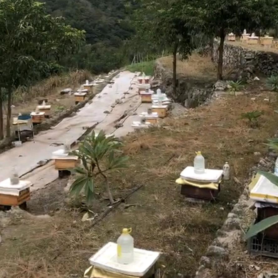 莆田山里土蜂蜜