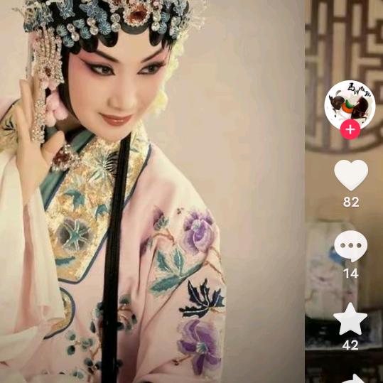 美人蕉