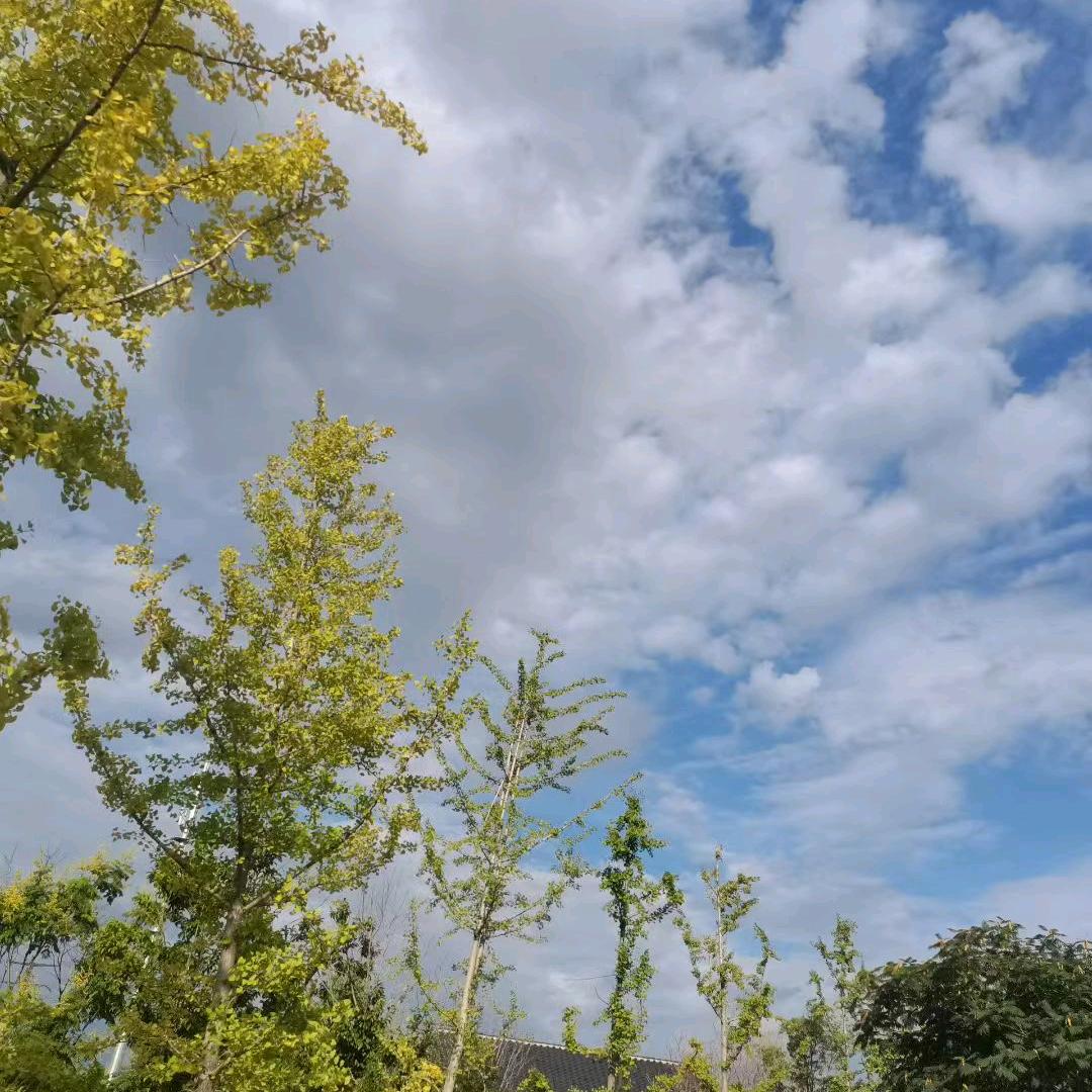 石材姐姐🌻🌻